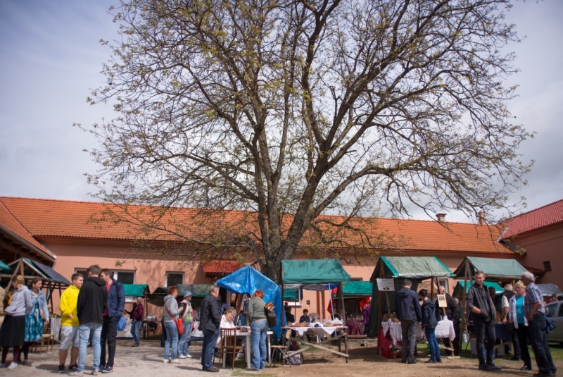 Jarný Gastro festival 2019